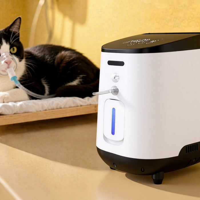 Oxygène à domicile : Améliorez la respiration de votre animal avec le VARON VH-2
