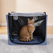 Caisson d'oxygène 100 L pour animaux VARON-FR