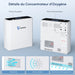 VARON VP-6 Concentrateur d'oxygène portable en continu - Débit 1-6L/min, certifié CE VARON-FR